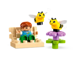 LEGO Caring for Bees & Beehives (10419) - afbeelding 3