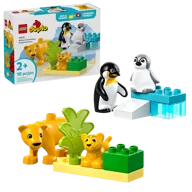 Wild Animal Families: Penguins & Lions - Image 2 of 9