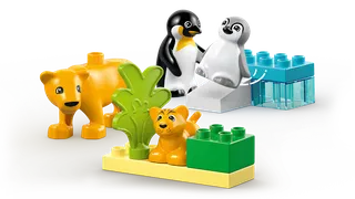 Wild Animal Families: Penguins & Lions fra LEGO – produktbillede 3 af 9