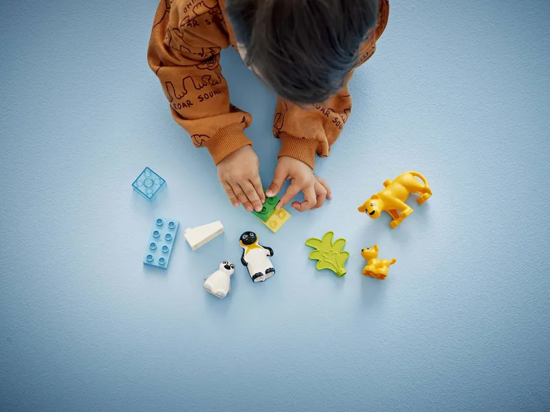 Wild Animal Families: Penguins & Lions fra LEGO – produktbillede 7 af 9