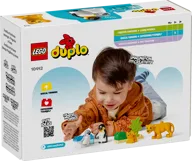 Wild Animal Families: Penguins & Lions - Image 9 of 9