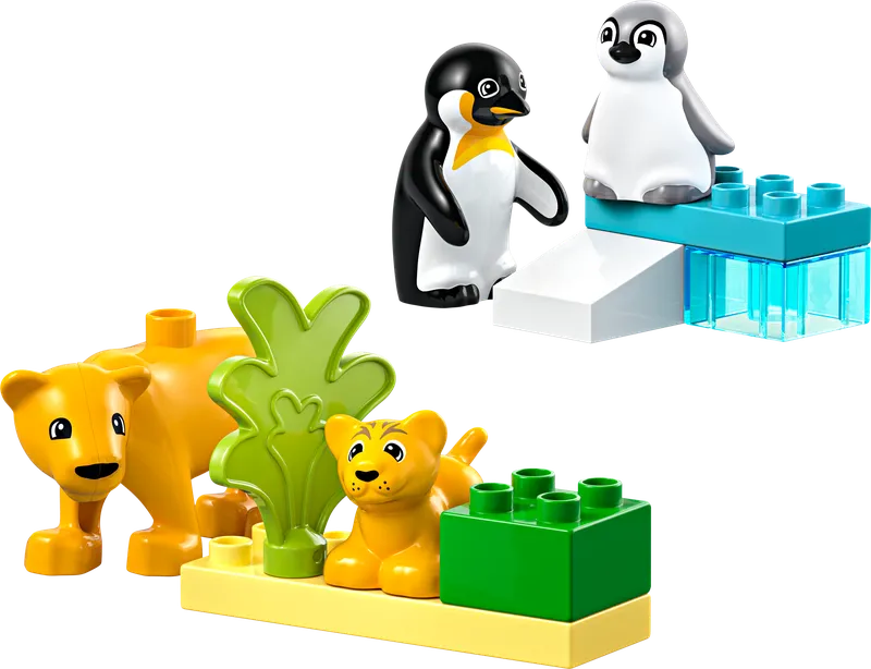 Wild Animal Families: Penguins & Lions