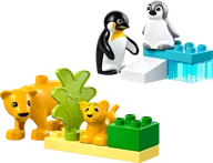 Wild Animal Families: Penguins & Lions - Image 1 of 9