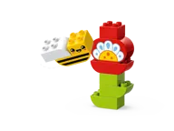 Creative Garden & Flowers - Image 3 of 8