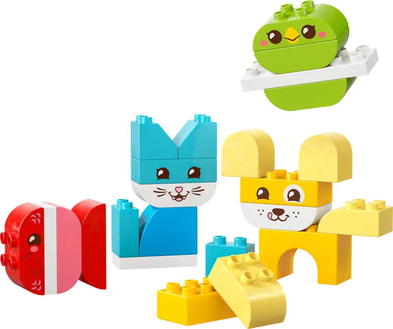 Creative Cute Pets