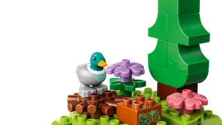 Discovery Forest with Wild Animals de LEGO – photo du produit 5 sur 14