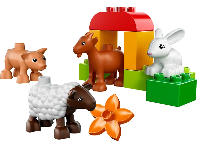 Ontdek het boerenleven met Dieren uit de boerderij