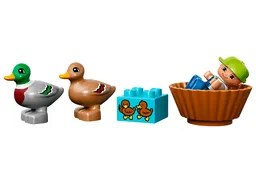 LEGO Forest: Ducks (10581) - afbeelding 3