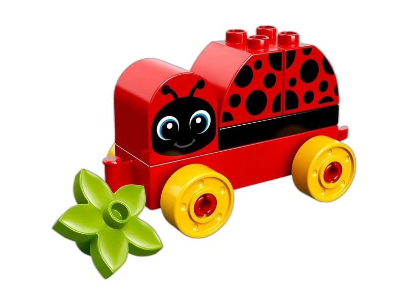 Creëer, leer en speel met de kleine lieveheersbeestje!