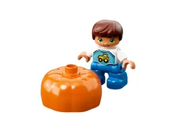 LEGO Farmers' Market (10867) - afbeelding 6