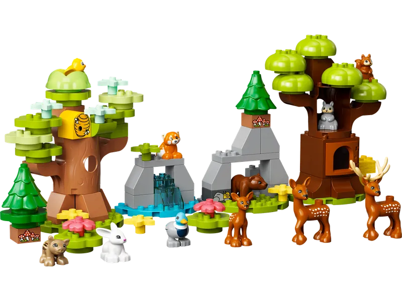 Wild Animals of Europe
