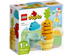 LEGO Growing Carrot (10981) - afbeelding 1