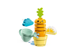 LEGO Growing Carrot (10981) - afbeelding 2