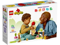 LEGO Organic Market (10983) - afbeelding 4