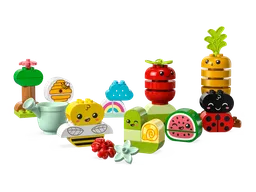 LEGO Organic Garden (10984)