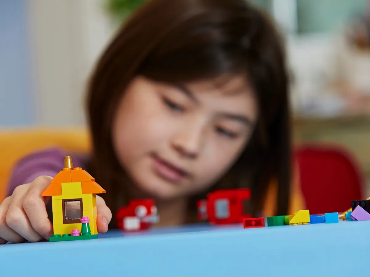 LEGO Bricks and Ideas (11001) - Bild 10