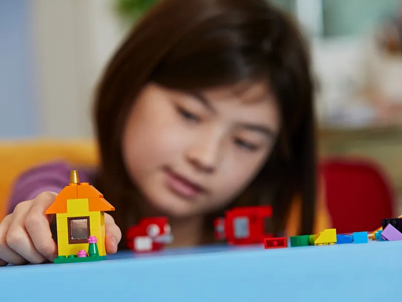 Bricks and Ideas by LEGO – product photo 11 of 11