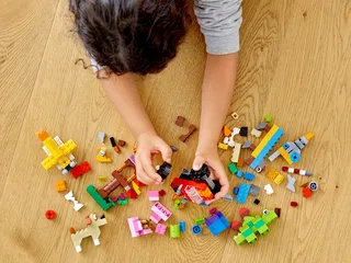 Basic Brick Set de LEGO – photo du produit 13 sur 14