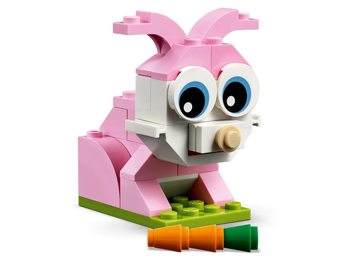 LEGO Bricks and Eyes (11003) - Bild 12