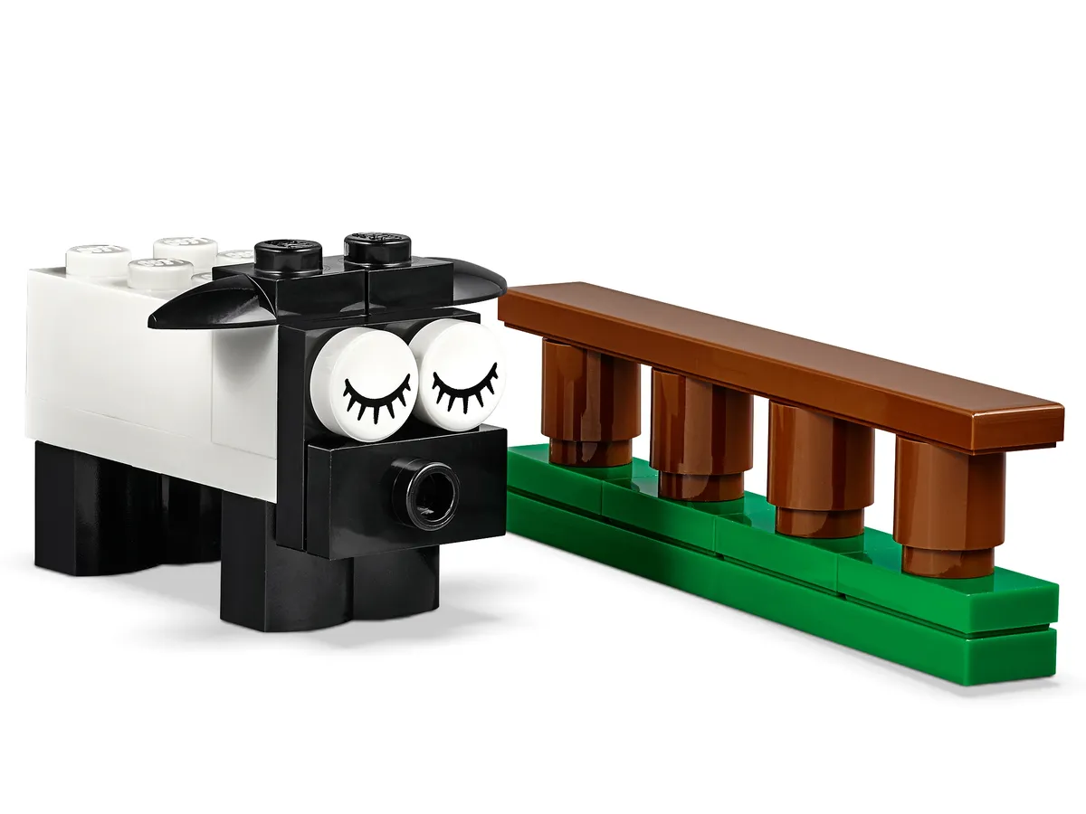 LEGO Bricks and Eyes (11003) - Bild 8