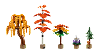 Autumn Cottage Garden von LEGO – Produktfoto 7 von 16
