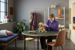 LEGO Golden Retriever Puppy (11384) - afbeelding 10