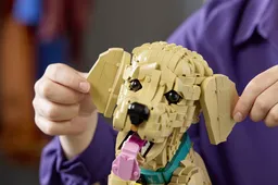 LEGO Golden Retriever Puppy (11384) - afbeelding 13