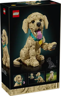 LEGO Golden Retriever Puppy (11384) - afbeelding 17