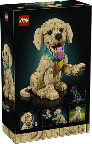 Golden Retriever Puppy by LEGO – product photo 18 of 18