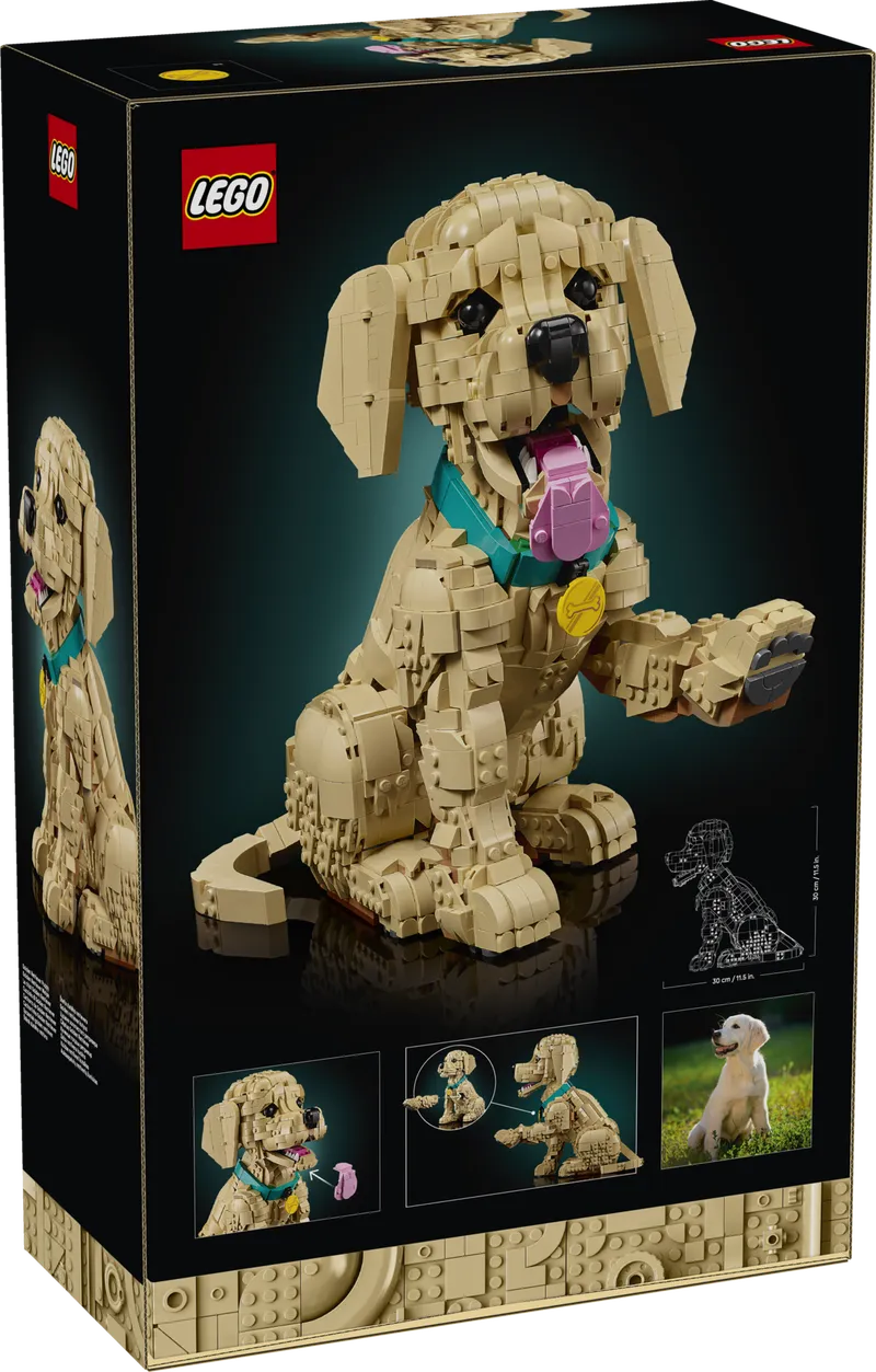 Golden Retriever Puppy by LEGO – product photo 18 of 18