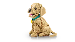 LEGO Golden Retriever Puppy (11384) - afbeelding 6