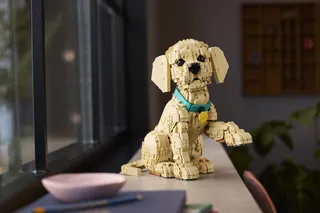Golden Retriever Puppy by LEGO – product photo 9 of 18