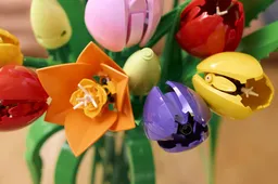 LEGO Tulip Bouquet (11501) - afbeelding 24