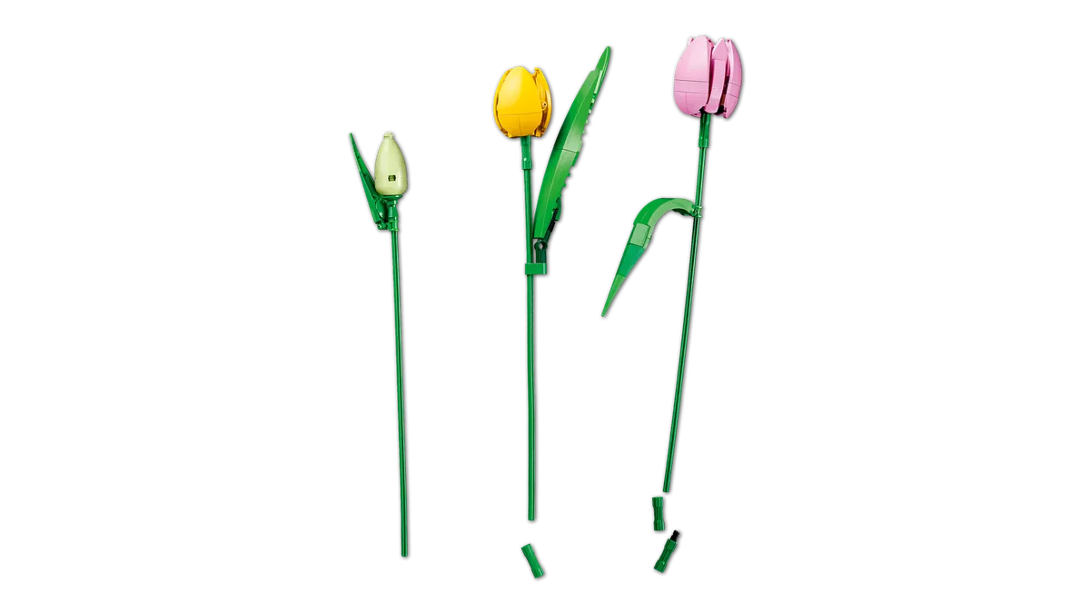 LEGO Tulip Bouquet (11501) - Bild 12
