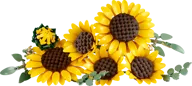 Sunflower Bouquet - Image 2 of 24