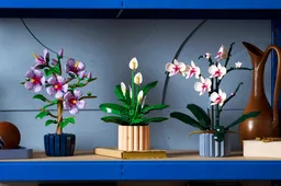 LEGO Peace Lily (11504) - afbeelding 13