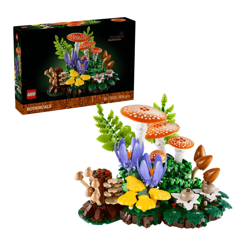Woodland Mushrooms