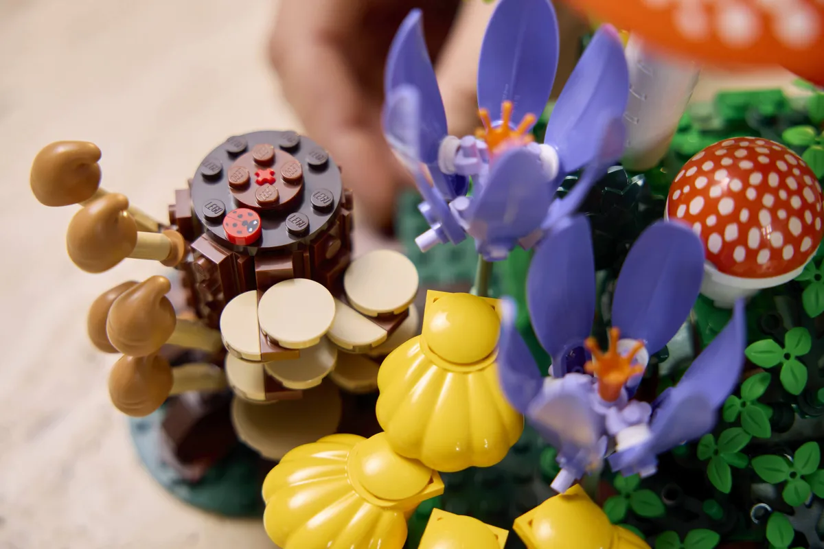 LEGO Woodland Mushrooms (11505) - Bild 9