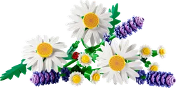 LEGO Daisies (11508)