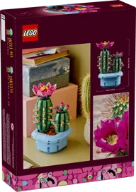 Bloeiende cactus - Afbeelding 11 van 11