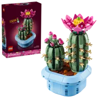 Bloeiende cactus - Afbeelding 2 van 11