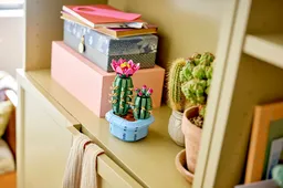 LEGO Flowering Cactus (11509) - afbeelding 2