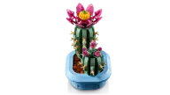 Bloeiende cactus - Afbeelding 5 van 11