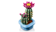 Bloeiende cactus - Afbeelding 6 van 11