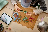 Bloeiende cactus - Afbeelding 8 van 11