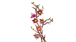 LEGO Magnolia Branches (11510) - afbeelding 6