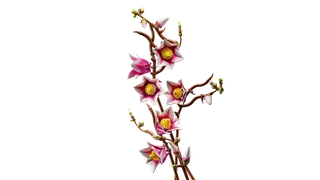 Magnolia Branches by LEGO – product photo 7 of 19