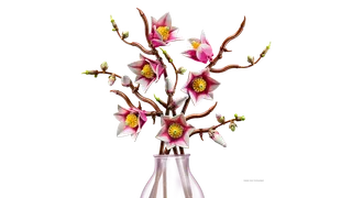 Magnolia Branches by LEGO – product photo 8 of 19