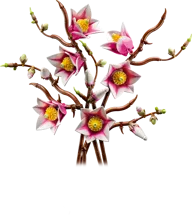 Magnolia Branches - Image 2 of 20