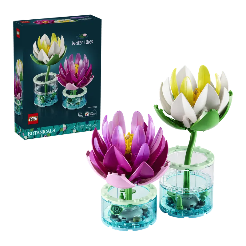 Water Lilies